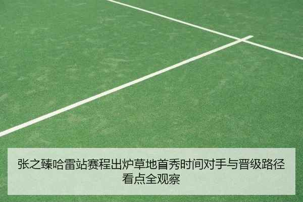 张之臻哈雷站赛程出炉草地首秀时间对手与晋级路径看点全观察